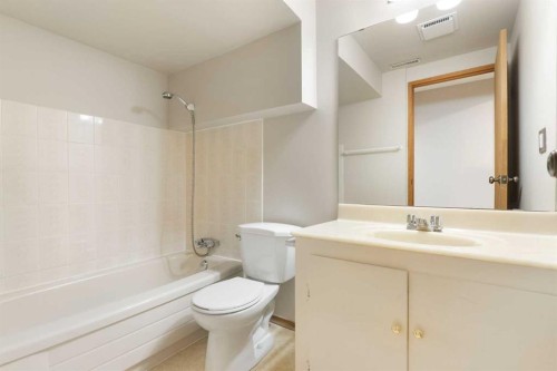 123 Glacier Drive Sw, Calgary, AB - Indoor Photo Showing Bathroom