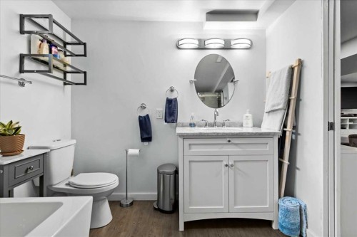 527 29 Street Nw, Calgary, AB - Indoor Photo Showing Bathroom