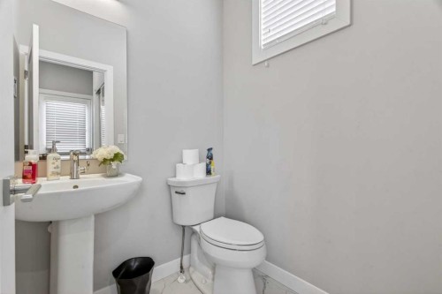 1220 Cornerstone Way Ne, Calgary, AB - Indoor Photo Showing Bathroom