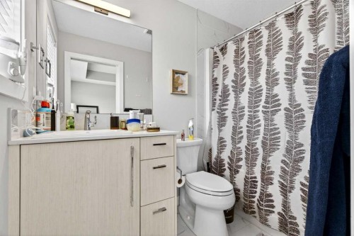 1220 Cornerstone Way Ne, Calgary, AB - Indoor Photo Showing Bathroom