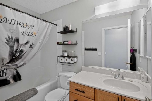 38 Canoe Circle Sw, Airdrie, AB - Indoor Photo Showing Bathroom