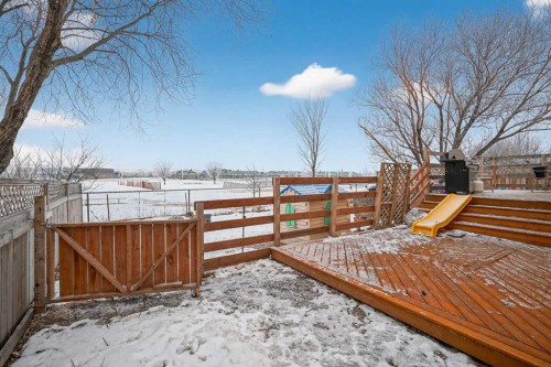 38 Canoe Circle Sw, Airdrie, AB - Outdoor