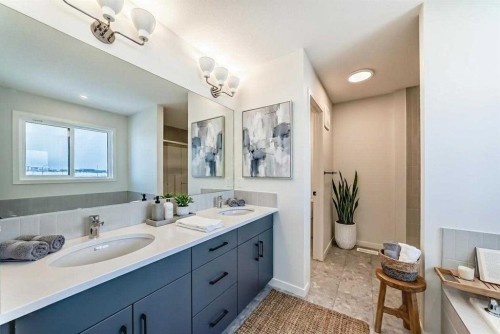 54 Bartlett Row Se, Calgary, AB - Indoor Photo Showing Bathroom