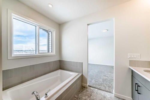 54 Bartlett Row Se, Calgary, AB - Indoor Photo Showing Bathroom