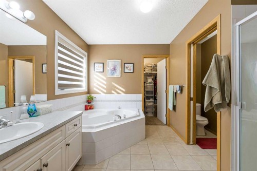 332 Harvest Hills Drive Ne, Calgary, AB - Indoor Photo Showing Bathroom