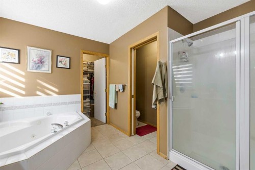332 Harvest Hills Drive Ne, Calgary, AB - Indoor Photo Showing Bathroom