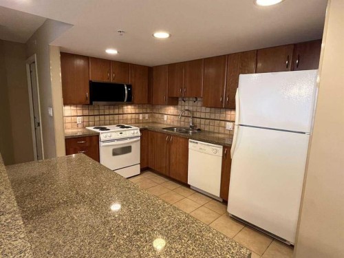 1205-1088 6 Avenue Sw, Calgary, AB - Indoor Photo Showing Kitchen