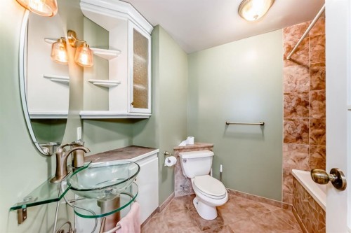 274 Templeview Way Ne, Calgary, AB - Indoor Photo Showing Bathroom