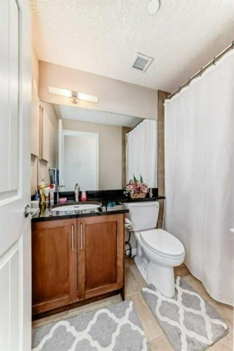 210-1005A Westmount Drive, Strathmore, AB - Indoor Photo Showing Bathroom
