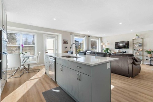 165 Harvest Park Circle Ne, Calgary, AB - Indoor Photo Showing Kitchen With Double Sink