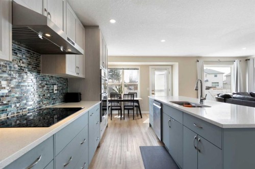 165 Harvest Park Circle Ne, Calgary, AB - Indoor Photo Showing Kitchen With Double Sink With Upgraded Kitchen
