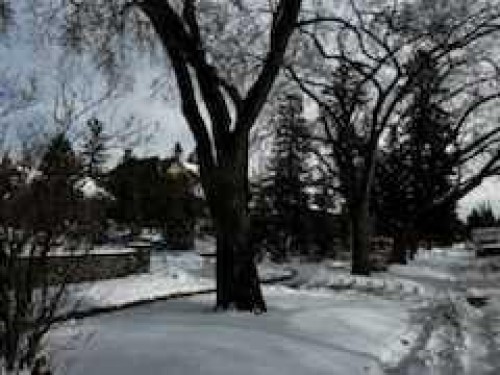 1416 Premier Way Sw, Calgary, AB 