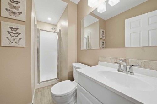 132 Shawcliffe Circle Sw, Calgary, AB - Indoor Photo Showing Bathroom