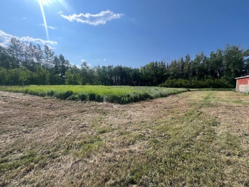 30308 Rr50, Rural Mountain View County, AB 