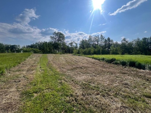 30308 Rr50, Rural Mountain View County, AB 