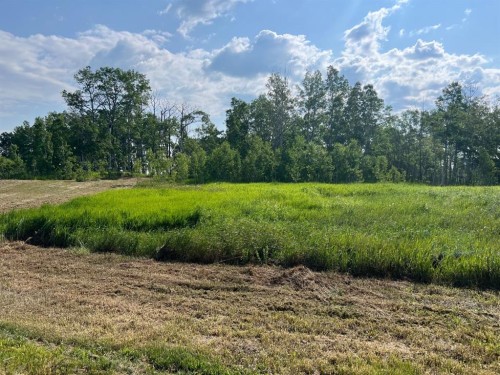 30308 Rr50, Rural Mountain View County, AB 