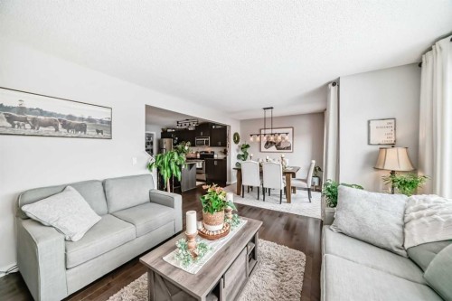 117 Sunset Common, Cochrane, AB - Indoor Photo Showing Living Room