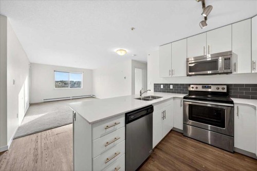 2308-181 Skyview Ranch Manor Ne, Calgary, AB - Indoor Photo Showing Kitchen With Stainless Steel Kitchen With Double Sink
