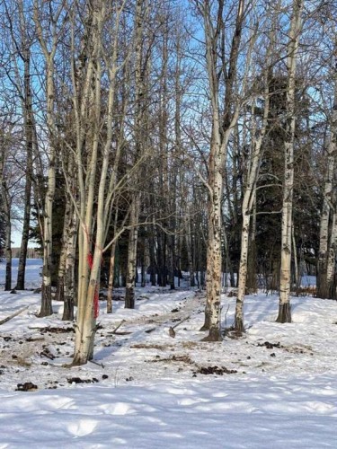 101071 Township Road 740, Rural Grande Prairie No. 1, County Of, AB - Outdoor With View