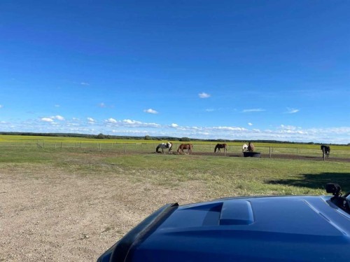 101071 Township Road 740, Rural Grande Prairie No. 1, County Of, AB - Outdoor With View