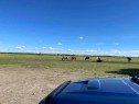 101071 Township Road 740, Rural Grande Prairie No. 1, County Of, AB  - Outdoor With View 