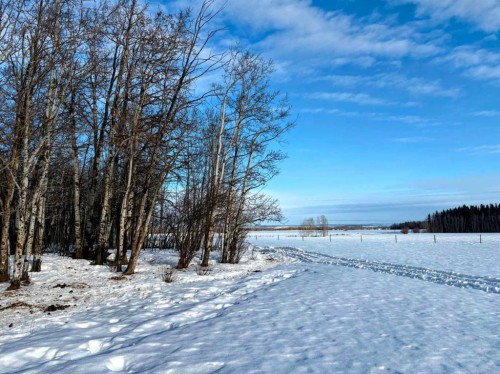 101071 Township Road 740, Rural Grande Prairie No. 1, County Of, AB - Outdoor With View