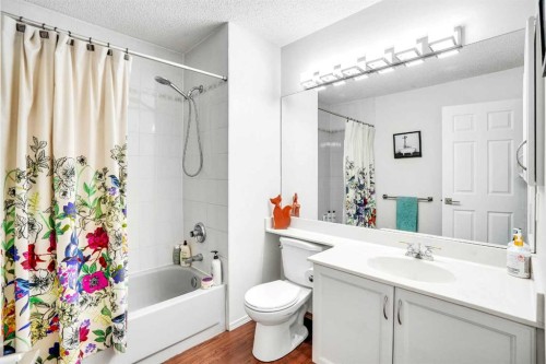 73 Riverview Close Se, Calgary, AB - Indoor Photo Showing Bathroom