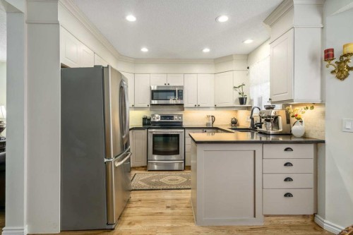 76 Sunlake Gardens Se, Calgary, AB - Indoor Photo Showing Kitchen With Upgraded Kitchen
