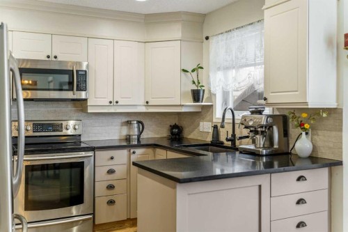 76 Sunlake Gardens Se, Calgary, AB - Indoor Photo Showing Kitchen With Upgraded Kitchen