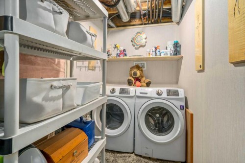 76 Sunlake Gardens Se, Calgary, AB - Indoor Photo Showing Laundry Room