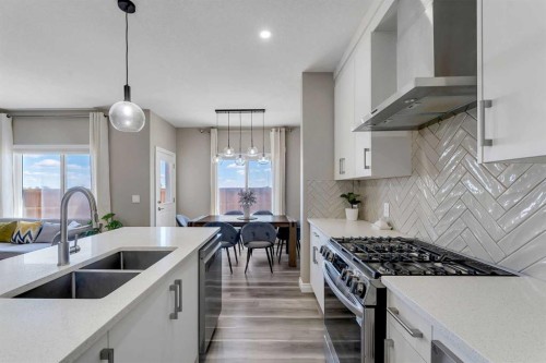 521 Corner Meadows Way Ne, Calgary, AB - Indoor Photo Showing Kitchen With Double Sink With Upgraded Kitchen