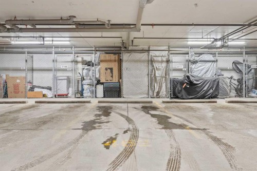 2223-115 Prestwick Villas Se, Calgary, AB - Indoor Photo Showing Garage
