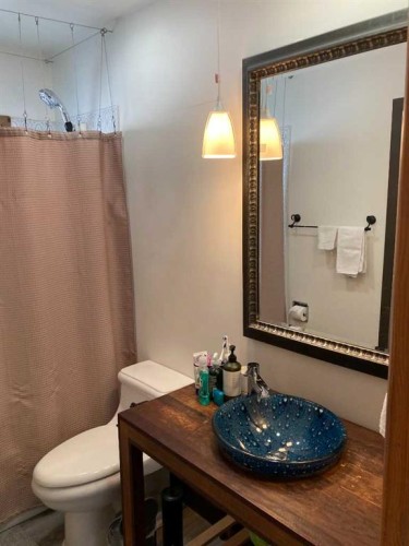 84 Waterloo Drive Sw, Calgary, AB - Indoor Photo Showing Bathroom