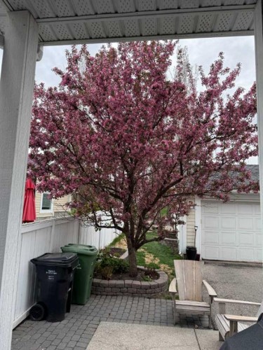 78 Ypres Green Sw, Calgary, AB - Outdoor