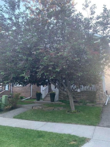 78 Ypres Green Sw, Calgary, AB - Outdoor