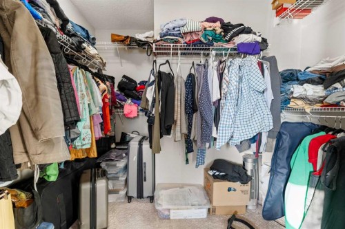 8487 Saddlebrook Drive Ne, Calgary, AB - Indoor With Storage