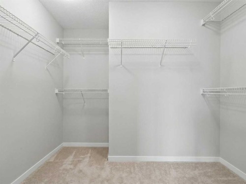 8487 Saddlebrook Drive Ne, Calgary, AB - Indoor With Storage