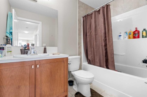 8487 Saddlebrook Drive Ne, Calgary, AB - Indoor Photo Showing Bathroom