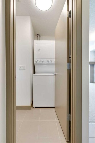 210-2420 34 Avenue Sw, Calgary, AB - Indoor Photo Showing Laundry Room