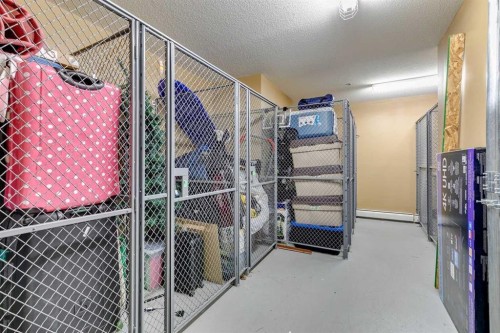 210-2420 34 Avenue Sw, Calgary, AB - Indoor With Storage
