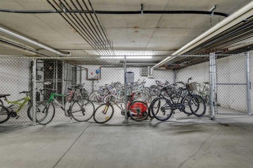210-2420 34 Avenue Sw, Calgary, AB - Indoor Photo Showing Garage