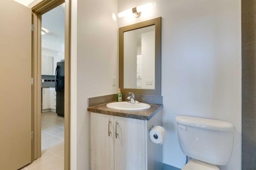 210-2420 34 Avenue Sw, Calgary, AB - Indoor Photo Showing Bathroom