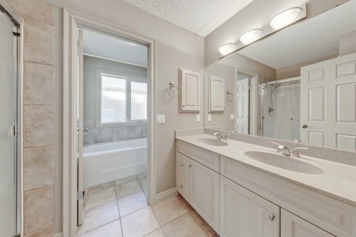 169 Cove Road, Chestermere, AB - Indoor Photo Showing Bathroom