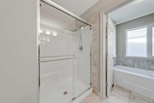 169 Cove Road, Chestermere, AB - Indoor Photo Showing Bathroom