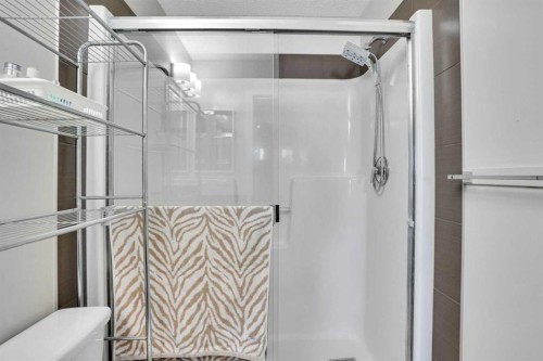 208-402 Marquis Lane Se, Calgary, AB - Indoor Photo Showing Bathroom