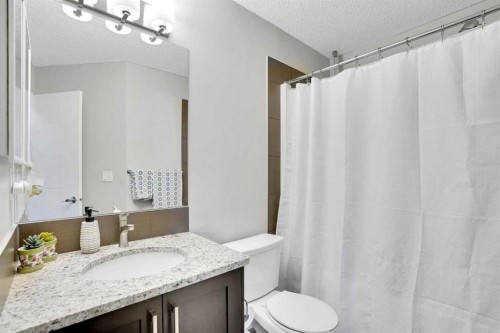 208-402 Marquis Lane Se, Calgary, AB - Indoor Photo Showing Bathroom