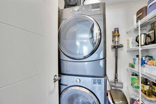 208-402 Marquis Lane Se, Calgary, AB - Indoor Photo Showing Laundry Room