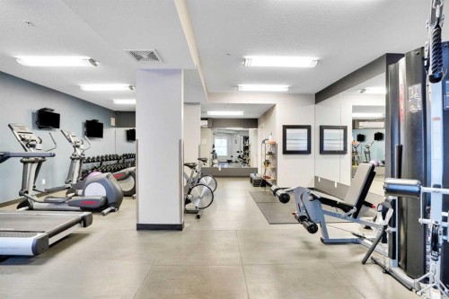 208-402 Marquis Lane Se, Calgary, AB - Indoor Photo Showing Gym Room