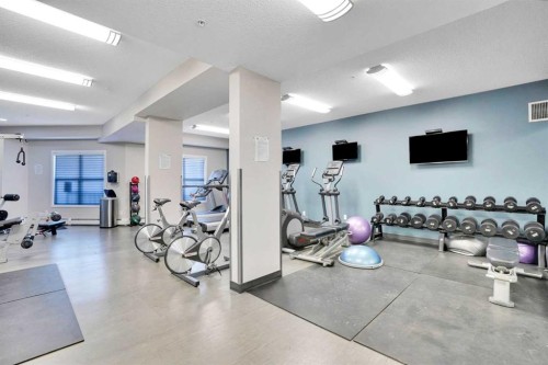 208-402 Marquis Lane Se, Calgary, AB - Indoor Photo Showing Gym Room