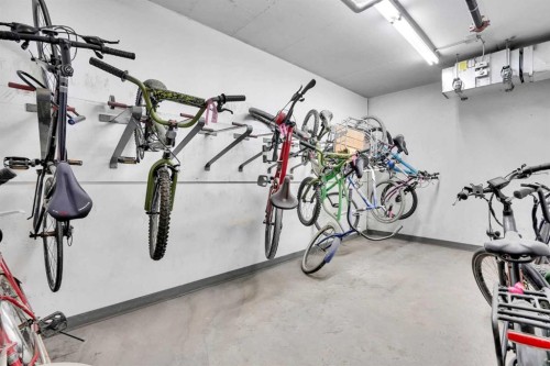 208-402 Marquis Lane Se, Calgary, AB - Indoor Photo Showing Gym Room